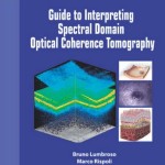 Guide to Interpreting Spectral Domain Optical Coherence Tomography, 2nd Edition
