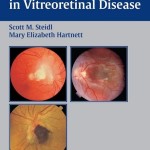 Clinical Pathways In Vitreoretinal Disease