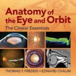 Anatomy of the Eye and Orbit : The Clinical Essentials